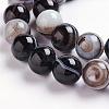 Natural Black Striped Agate/Banded Agate Beads Strands G-J359-01-12mm-3