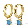 S925 Sterling Silver Flat Round Hoop Earrings NE2810-9-1