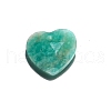 Natural Amazonite Charms PW-WGBC888-06-1