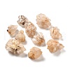 Natural Quartz Crystal Home Display Decorations DJEW-G040-01-1