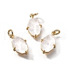 Brass Charms X1-KK-Q043-06G-03-1