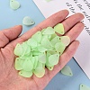 Transparent Frosted Acrylic Pendants MACR-S371-09A-728-5