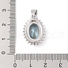 Brass Micro Pave Cubic Zirconia Pendants ZIRC-I066-05A-01-3