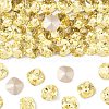 Preciosa® MAXIMA Crystal Fancy Stones X-PRC-FC12-80100-1