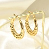 304 Stainless Steel Hoop Earrings EJEW-Q011-15G-5