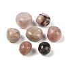 Natural Rhodonite Beads G-Z062-10A-1