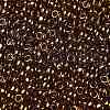 TOHO Round Seed Beads SEED-JPTR08-0421-2