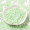 Baking Paint Glass Seed Beads SEED-B001-02A-11-2