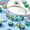80Pcs 20 Style Acrylic & Glass & Resin & Resin & 304 Stainless Steel European Beads DIY-LS0004-09-7