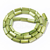 Natural Freshwater Shell Beads SHEL-R047-01F-2