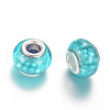 Resin European Beads RPDL-R009-10-1