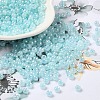 Glass Seed Beads SEED-H002-H-1304-1