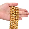 Natural Yellow Tiger Eye Beads Strands X-G-G212-8mm-18-5