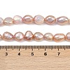 Natural Cultured Freshwater Pearl Beads Strands PEAR-P064-20J-03D-5