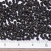 MIYUKI Round Rocailles Beads X-SEED-G007-RR2004-4
