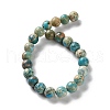 Dyed Natural Regalite/Imperial Jasper/Sea Sediment Jasper Beads Strands G-B124-C01-04-3