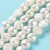 Natural Cultured Freshwater Pearl Beads Strands PEAR-Z002-03-2