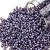 TOHO Round Seed Beads X-SEED-TR11-2124-1