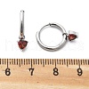 304 Stainless Steel Micro Pave Cubic Zirconia Hoop Earrings STAS-R004-03P-01-5