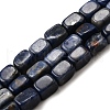 Natural Sodalite Beads Strands G-F791-C04-2