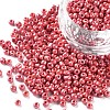 8/0 Glass Seed Beads SEED-US0003-3mm-125-1