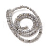 Natural Freshwater Shell Dyed Beads Strands SHEL-R100-13A-04-2