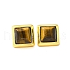 Brass Tiger Eye Stud Earrings EJEW-B120-05G-07-2
