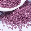 MIYUKI Delica Beads SEED-X0054-DB1376-1