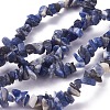 Natural Sodalite Beads Strands X-G-G782-31-1