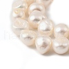Natural Cultured Freshwater Pearl Beads Strands PEAR-P064-19I-06D-3