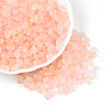 Frosted Glass Seed Beads SEED-N008-05A-1