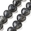 Natural Larvikite Beads Strands G-B022-28C-2