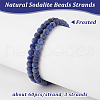 Olycraft 3 Strands Natural Sodalite Beads Strands G-OC0005-07-4