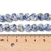 Natural Blue Spot Jasper Beads Strands G-D316-B10-4