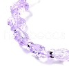 Transparent Glass Enamel Beads Strands GLAA-B021-06B-3