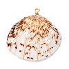 Natural Clam Shell Copper Wire Wrapped Pendants PALLOY-TA00268-2