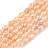 Natural Cultured Freshwater Pearl Beads Strands PEAR-N012-02H-01-2
