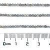 Natural Labradorite Beads Strands G-I341-11B-4