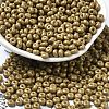 Baking Paint Glass Seed Beads SEED-B001-02A-18-1
