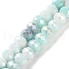 Electroplate Handmade Lampwork Beads Strands LAMP-S068-02J-1