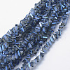 Electroplate Glass Beads Strands EGLA-J143-B-FR01-1