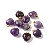 Natural Amethyst Pendants G-I311-A18-G-3