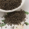 MIYUKI Delica Beads SEED-X0054-DB0022-4