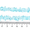 Transparent Glass Beads Strands GLAA-P060-01B-02-4