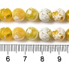 Dyed & Heated Natural Fire Crackle Agate Beads Strands G-P539-B01-16-5