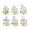 Transparent Acrylic Pendants PALLOY-JF03713-01-1