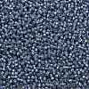 TOHO Round Seed Beads X-SEED-TR11-2102-2