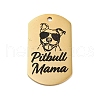 201 Stainless Steel Pendants STAS-R002-02G-04-1