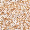 Glass Seed Beads GLAA-Q096-01F-2