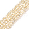 Electroplated Shell Pearl Beads Strands BSHE-C006-02B-1